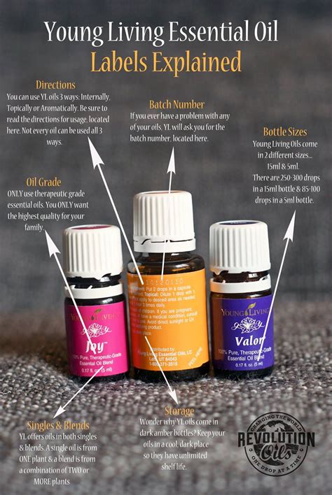 young living esential oils|More.